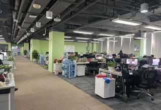 华东口腔牙托粉颜色